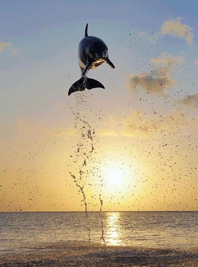 Stay Only Or Sailaway With Friends And Family Have More Fun Медемблик Экстерьер фото